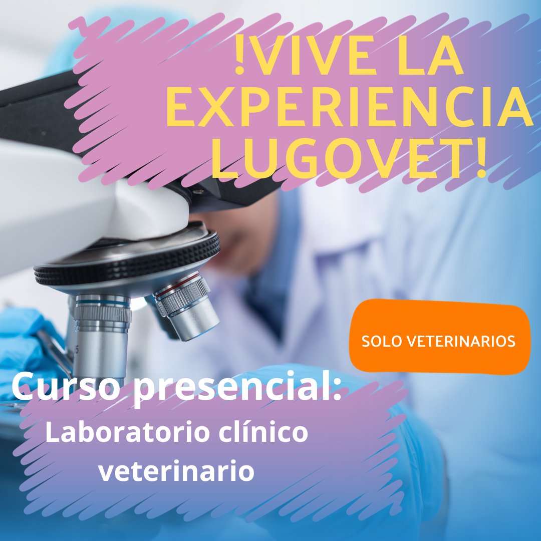 curso laboratorio clínico veterinario
